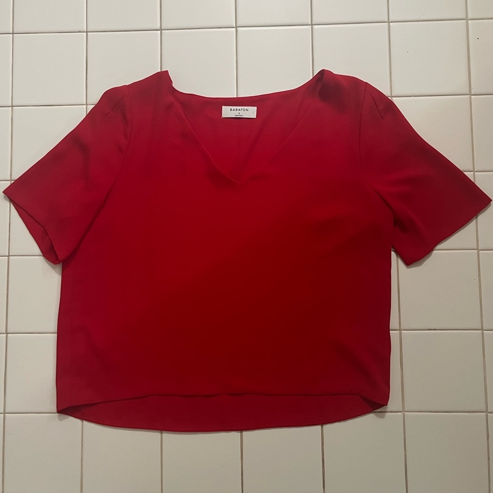 Aritzia Babaton V-neck Blouse